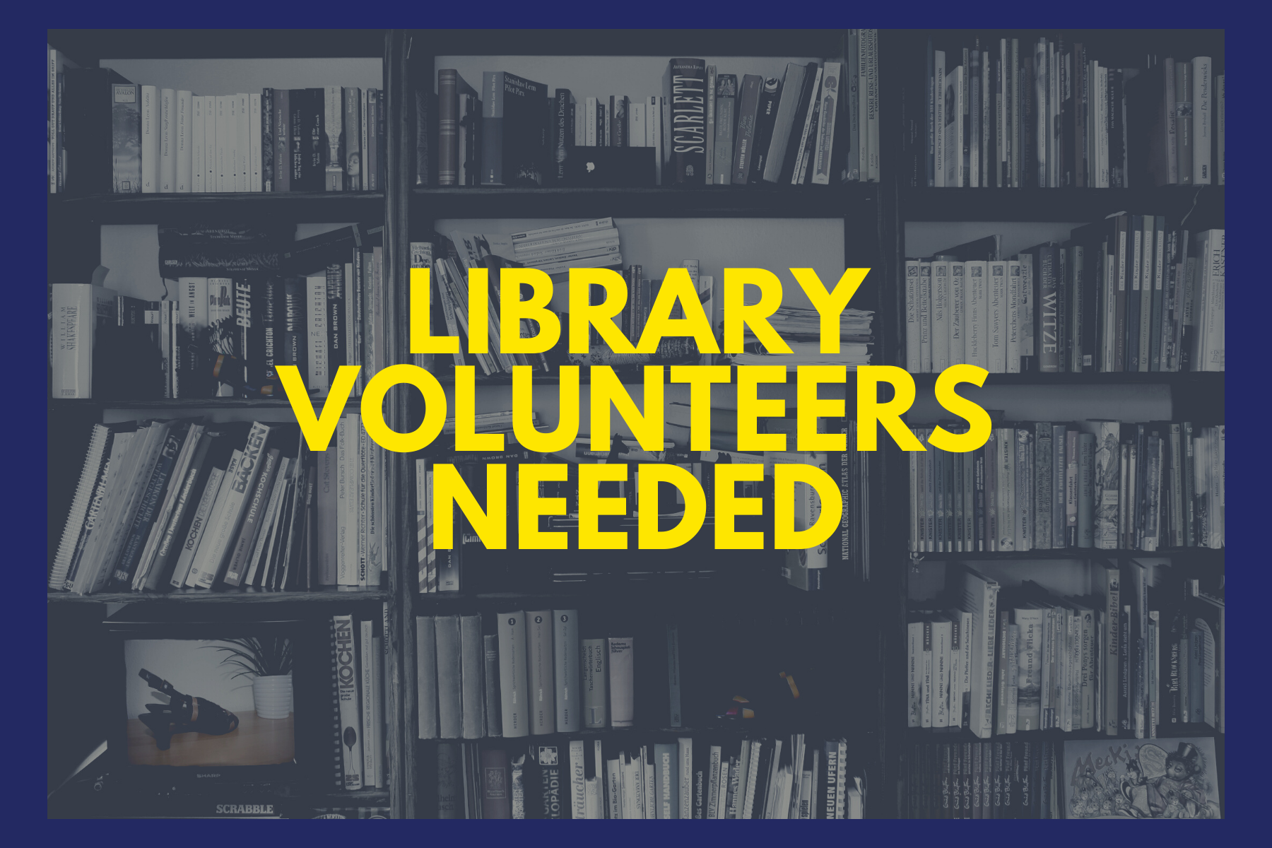 Volunteer In The Library!