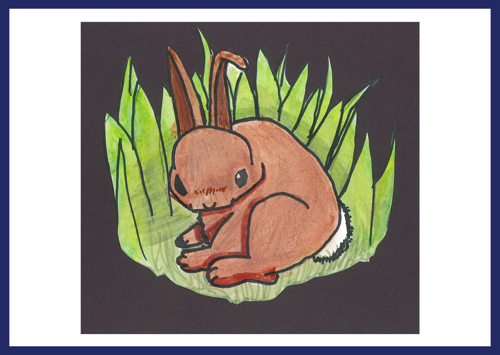 Bunny - Ben - 6B